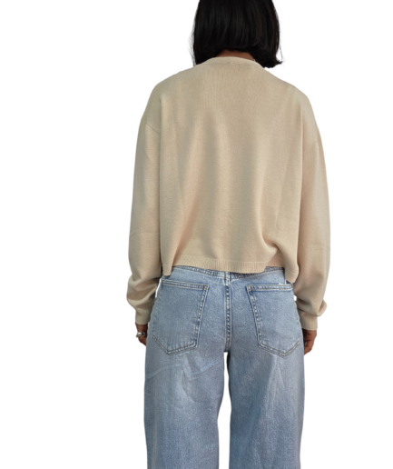 transparent Photoroom (2)